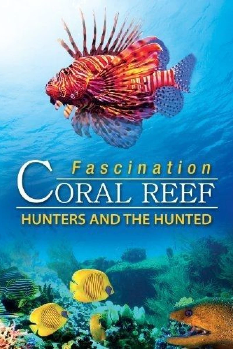 Fascination Coral Reef 3D: Hunters the Hunted Poster